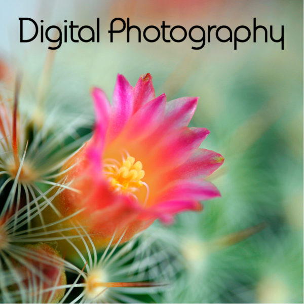 Digital Photography
